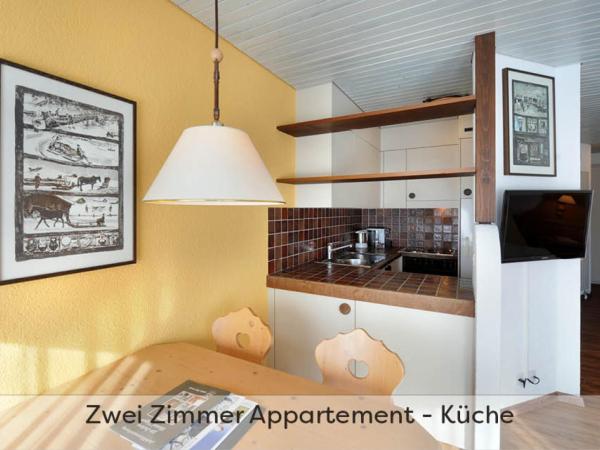Aparthotel Eiger *** - Grindelwald : photo 3 de la chambre appartement 2 pièces