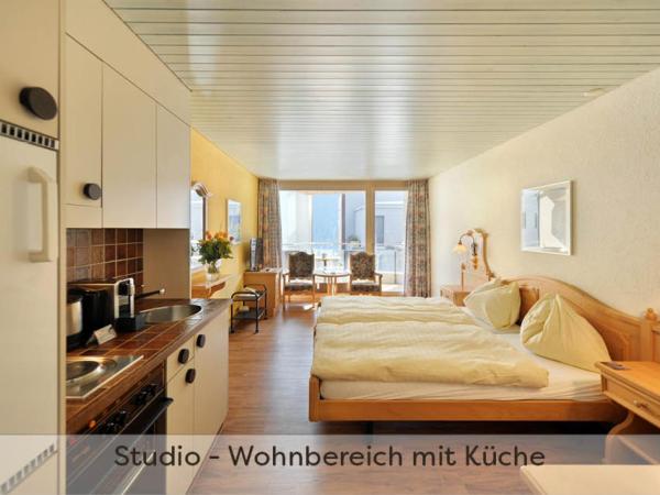Aparthotel Eiger *** - Grindelwald : photo 1 de la chambre studio