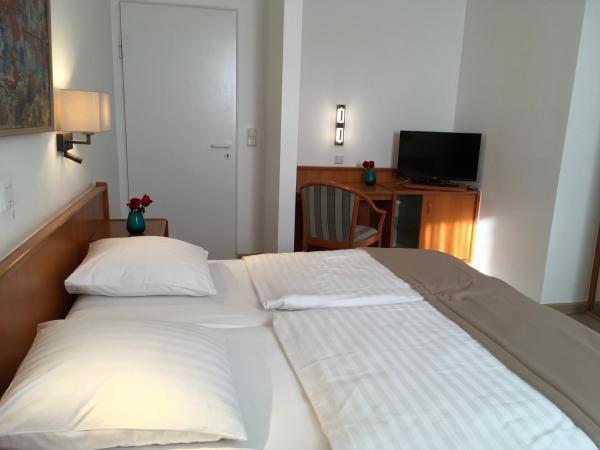 Hotel Francais : photo 1 de la chambre chambre lits jumeaux