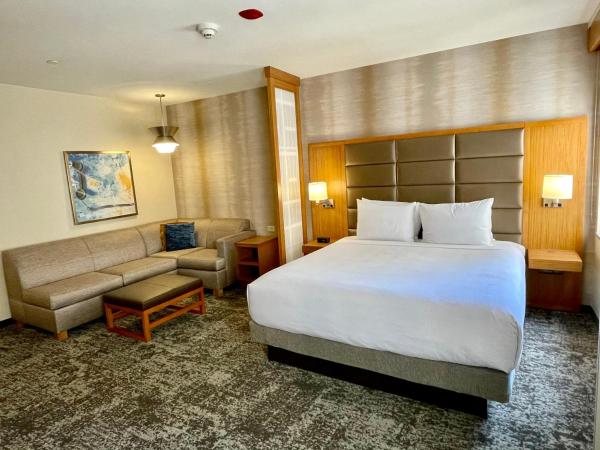 Hyatt Place Houston Downtown : photo 8 de la chambre chambre lit king-size spéciale avec canapé-lit