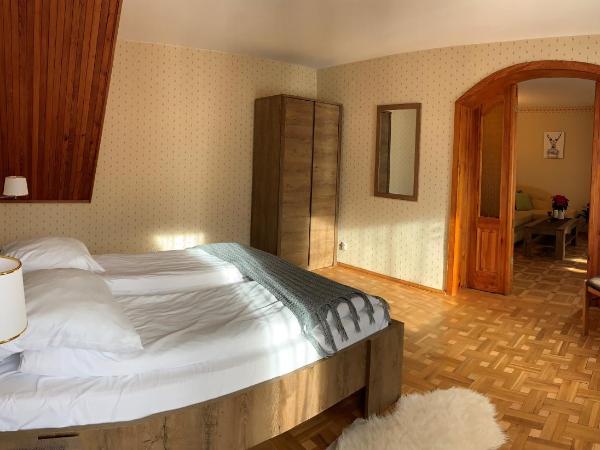 Pensjonat Paradise : photo 2 de la chambre studio - vue sur montagne