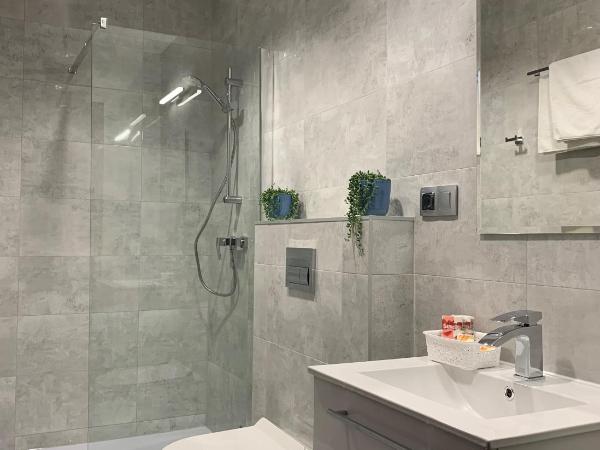 Pensjonat Paradise : photo 5 de la chambre studio - vue sur montagne