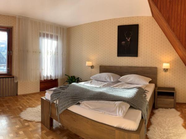 Pensjonat Paradise : photo 1 de la chambre studio - vue sur montagne