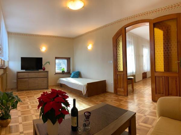 Pensjonat Paradise : photo 4 de la chambre studio - vue sur montagne