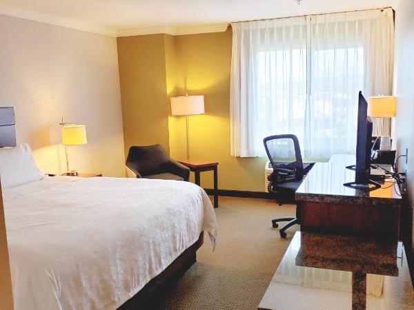 Holiday Inn Express Hotel & Suites Portland-Northwest Downtown, an IHG Hotel : photo 2 de la chambre chambre standard