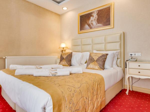 Twins Hotel : photo 6 de la chambre chambre double deluxe