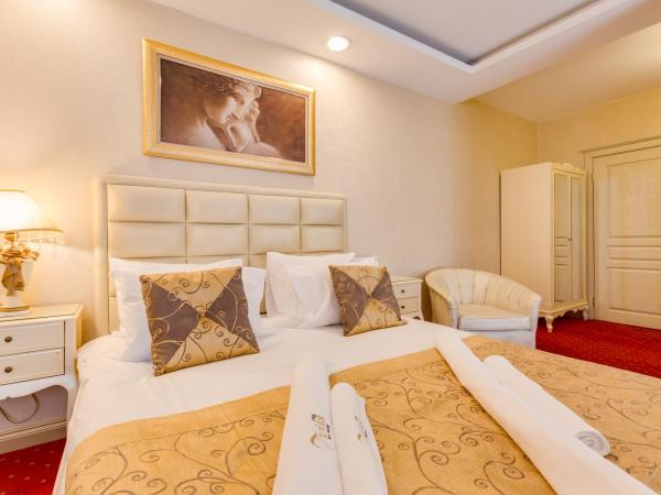 Twins Hotel : photo 10 de la chambre chambre double deluxe