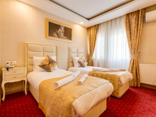 Twins Hotel : photo 4 de la chambre chambre lits jumeaux standard