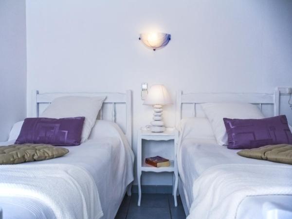 Hôtel Le Méditerranée : photo 2 de la chambre chambre lits jumeaux