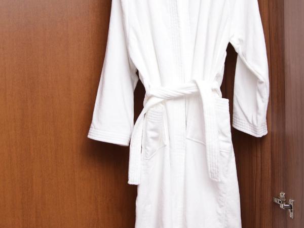 Primus Hotel & Apartments : photo 4 de la chambre chambre double avec douche accessible en fauteuil roulant - accessible aux personnes à mobilité réduite