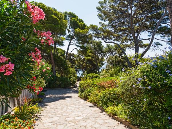 Parc et Résidence le Provençal : photo 9 de la chambre one bedroom apartment with terrace and mezzanine