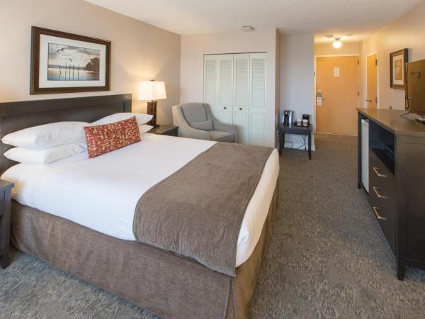 The Embassy Inn : photo 8 de la chambre chambre lit queen-size