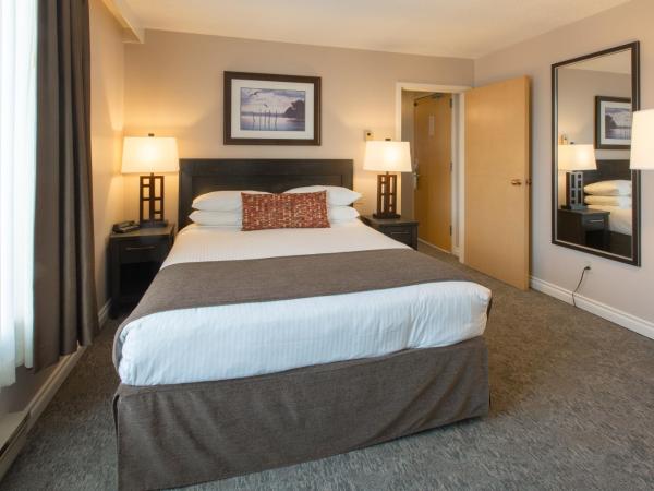 The Embassy Inn : photo 5 de la chambre suite 1 chambre