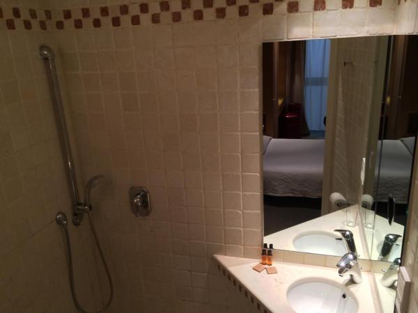 Hôtel du Vieux Marais : photo 4 de la chambre chambre simple standard