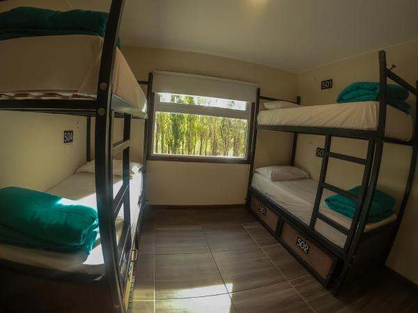 Folk Hostel : photo 7 de la chambre lit dans dortoir mixte de 4 lits