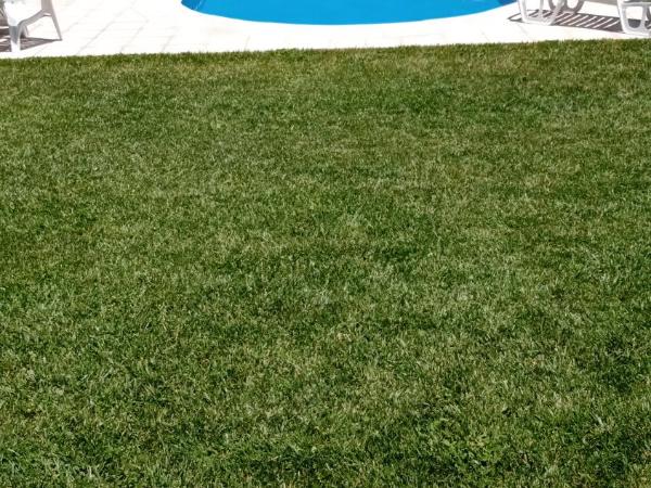 Cabañas Alpinas : photo 9 de la chambre bungalow 2 chambres