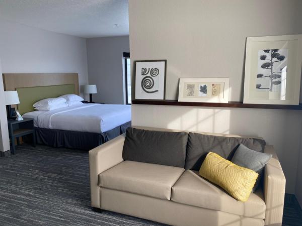 Country Inn & Suites by Radisson, Tampa Airport East-RJ Stadium : photo 5 de la chambre suite lit king-size avec canapé-lit - non-fumeurs