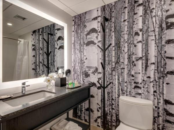 Peaks Hotel and Suites : photo 5 de la chambre standard room, 2 queen beds, back alley view