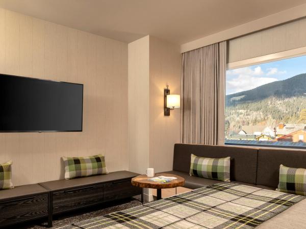 Peaks Hotel and Suites : photo 3 de la chambre standard room, 1 king bed, partial view