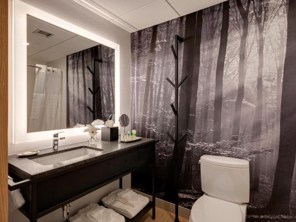 Peaks Hotel and Suites : photo 5 de la chambre junior studio, 2 queen beds, partial view with balcony