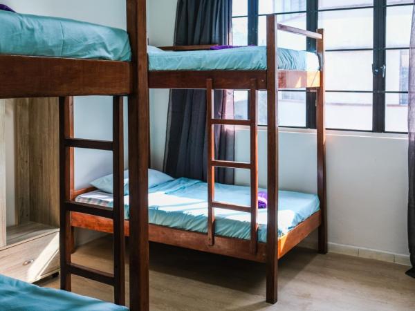 Step-in Lodge : photo 8 de la chambre lit dans un dortoir de 4 lits