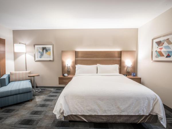 Holiday Inn Express & Suites - Houston Westchase - Westheimer, an IHG Hotel : photo 3 de la chambre chambre lit king-size loisirs - non-fumeurs