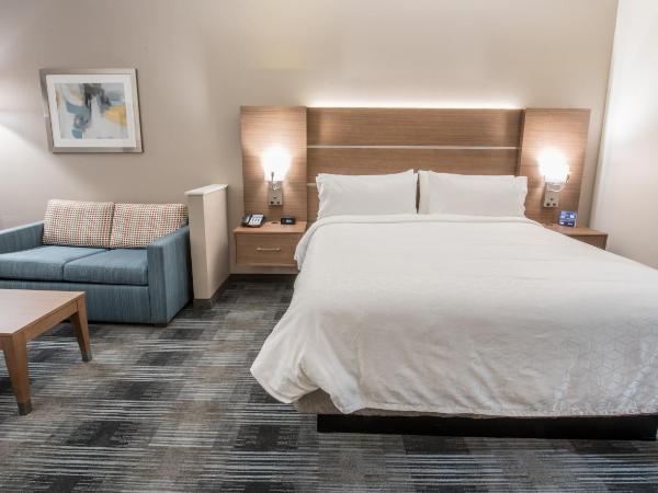 Holiday Inn Express & Suites - Houston Westchase - Westheimer, an IHG Hotel : photo 1 de la chambre suite lit king-size – non-fumeurs