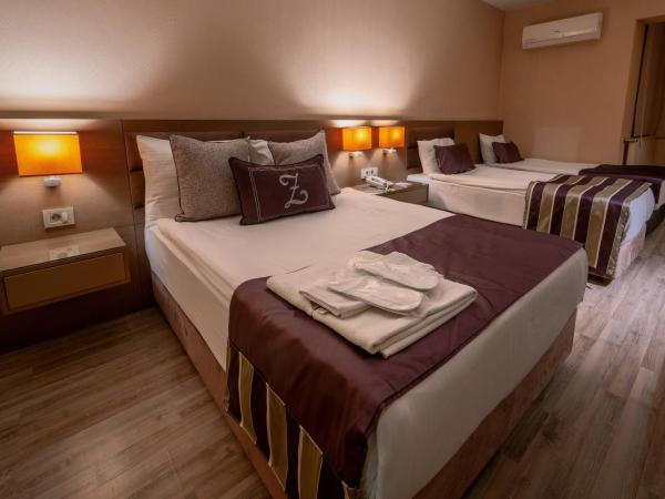 The New Hotel Zeybek : photo 7 de la chambre chambre familiale (4 adultes) 
