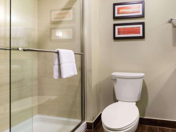 Comfort Suites near Westchase on Beltway 8 : photo 2 de la chambre suite avec 2 lits queen-size – accessible aux personnes à mobilité réduite