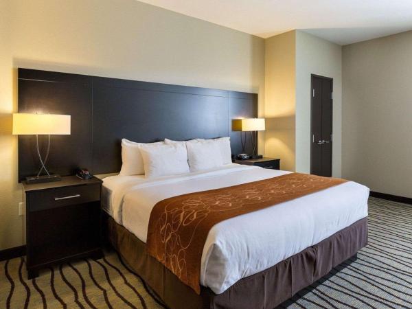 Comfort Suites near Westchase on Beltway 8 : photo 3 de la chambre suite lit king-size