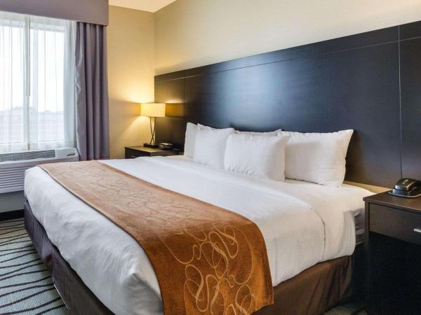 Comfort Suites near Westchase on Beltway 8 : photo 4 de la chambre suite lit king-size