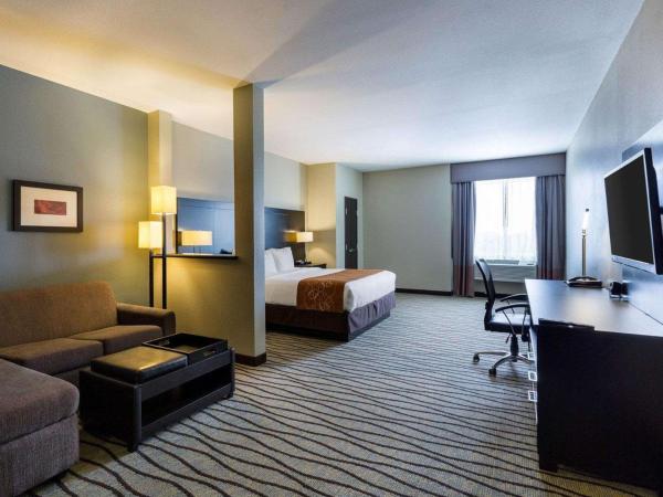 Comfort Suites near Westchase on Beltway 8 : photo 5 de la chambre suite lit king-size supérieure - non-fumeurs