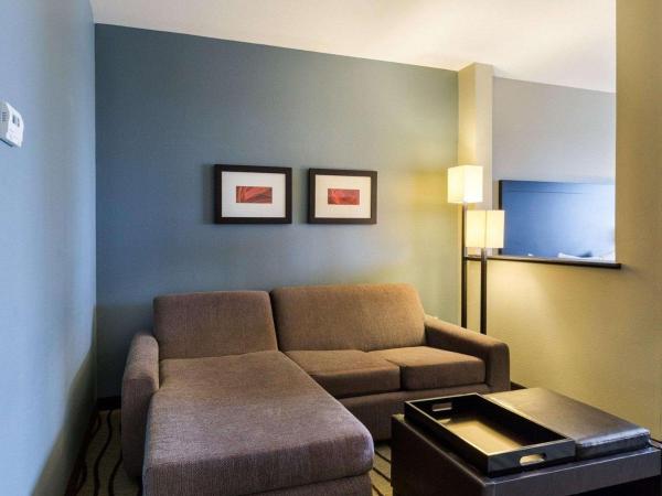 Comfort Suites near Westchase on Beltway 8 : photo 3 de la chambre suite avec 2 lits queen-size – accessible aux personnes à mobilité réduite
