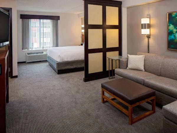 Hyatt Place Pittsburgh North Shore : photo 1 de la chambre chambre lit king-size avec canapé-lit