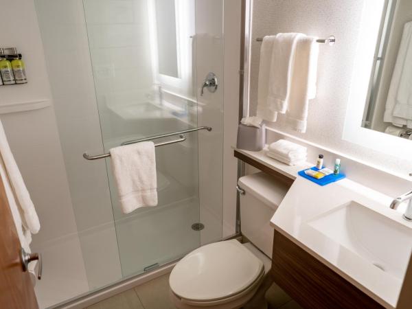 Holiday Inn Express Boston, an IHG Hotel : photo 4 de la chambre chambre standard