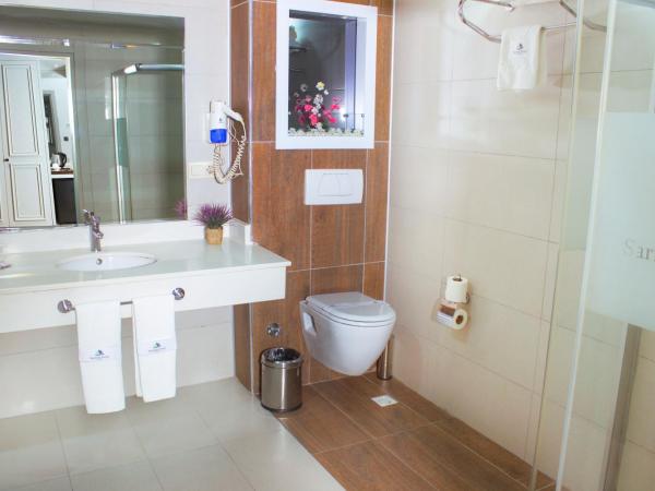 Sarissa Hotel : photo 1 de la chambre chambre double standard