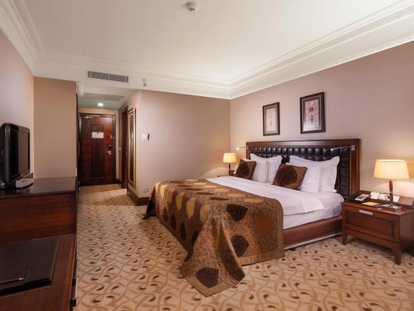 Crowne Plaza Istanbul Asia, an IHG Hotel : photo 5 de la chambre chambre standard