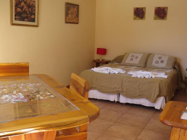 Apart Altos Del Nahuel : photo 2 de la chambre ce studio jouit d'une vue partielle sur le lac.