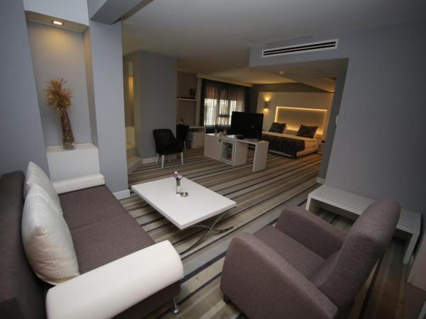 Grand Nora Hotel : photo 1 de la chambre suite