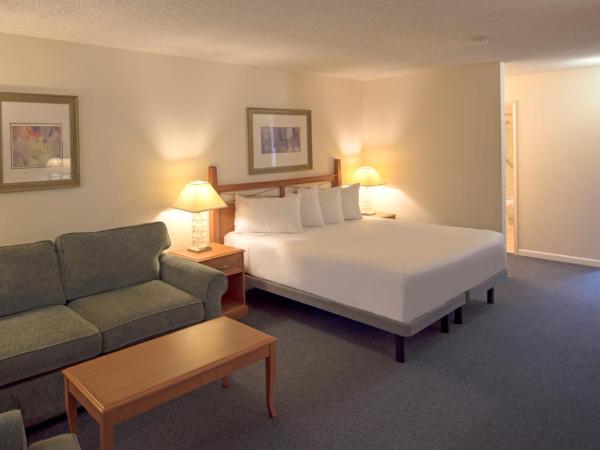 Robin Hood Inn and Suites : photo 9 de la chambre studio lit king-size avec cuisine en option