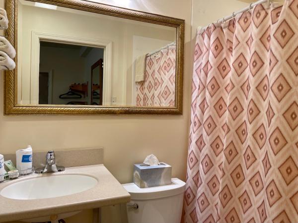 Oasis Guest House : photo 5 de la chambre chambre lit queen-size premium avec salle de bains privative