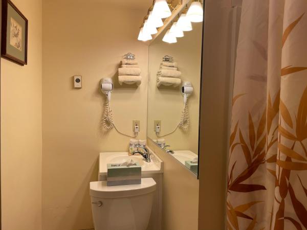 Oasis Guest House : photo 5 de la chambre chambre double Économique avec salle de bains privative