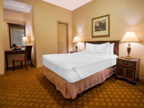 Night Hotel Broadway : photo 1 de la chambre bronze, 1 queen bed