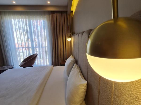 Air Boss Istanbul Airport and Fair Hotel : photo 9 de la chambre chambre deluxe double ou lits jumeaux