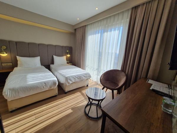 Air Boss Istanbul Airport and Fair Hotel : photo 7 de la chambre chambre double ou lits jumeaux standard