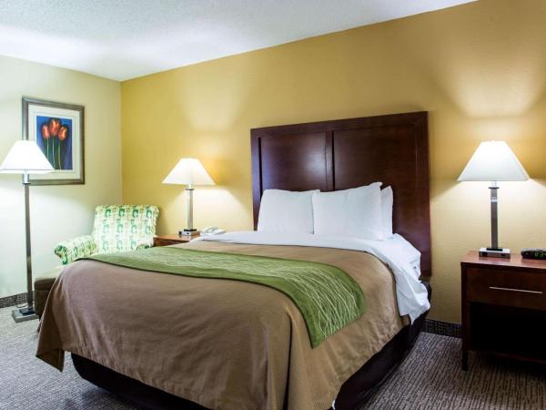 Comfort Inn Columbia-Bush River : photo 3 de la chambre chambre lit king-size - non-fumeurs