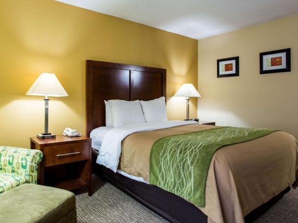 Comfort Inn Columbia-Bush River : photo 5 de la chambre chambre lit king-size - non-fumeurs