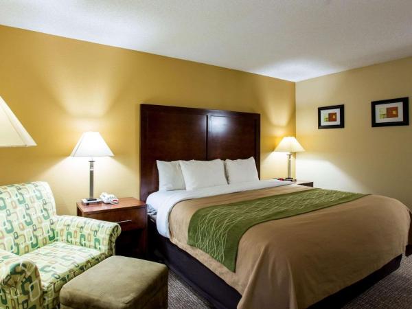 Comfort Inn Columbia-Bush River : photo 6 de la chambre chambre lit king-size - non-fumeurs