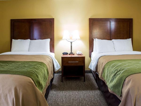 Comfort Inn Columbia-Bush River : photo 4 de la chambre chambre double avec 2 lits doubles - non-fumeurs