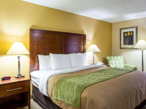 Comfort Inn Columbia-Bush River : photo 10 de la chambre chambre lit king-size - accessible aux personnes à mobilité réduite/non-fumeurs